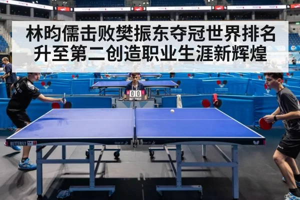 Fan Zhendong table tennis match