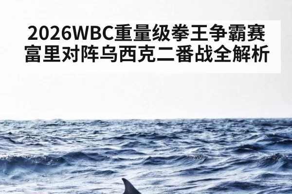 2026WBC重量级拳王争霸赛富里对阵乌西克二番战全解析